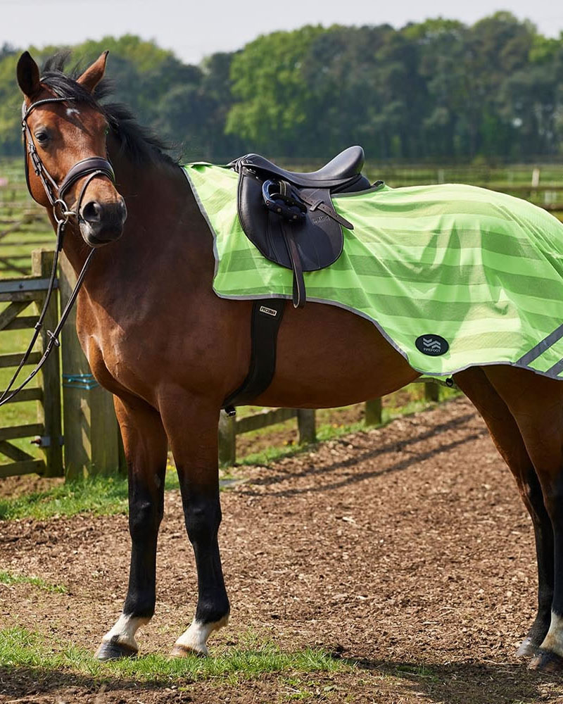 Exercise Sheets & Horse Walker Rugs